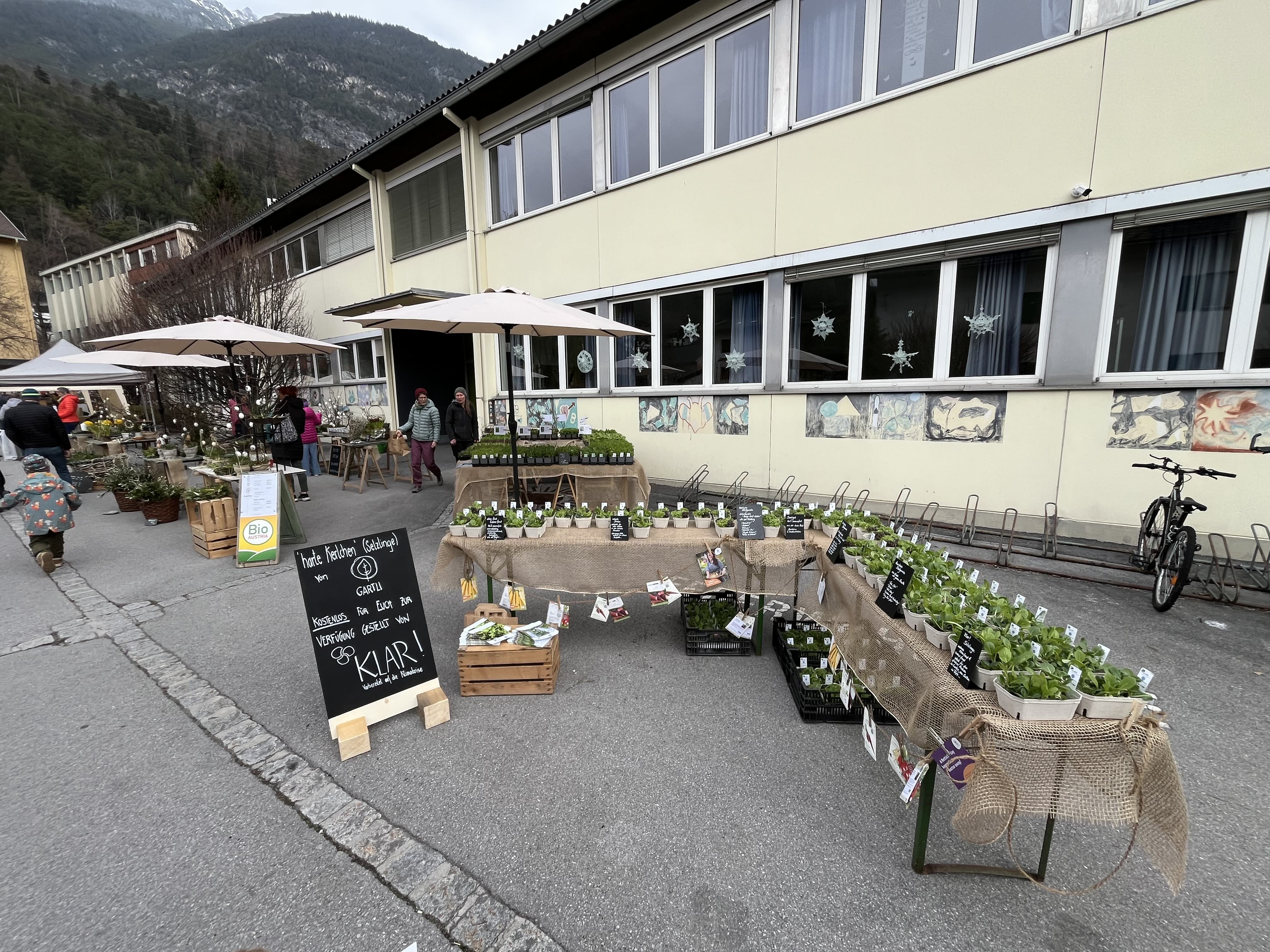 Klimafitter Garten