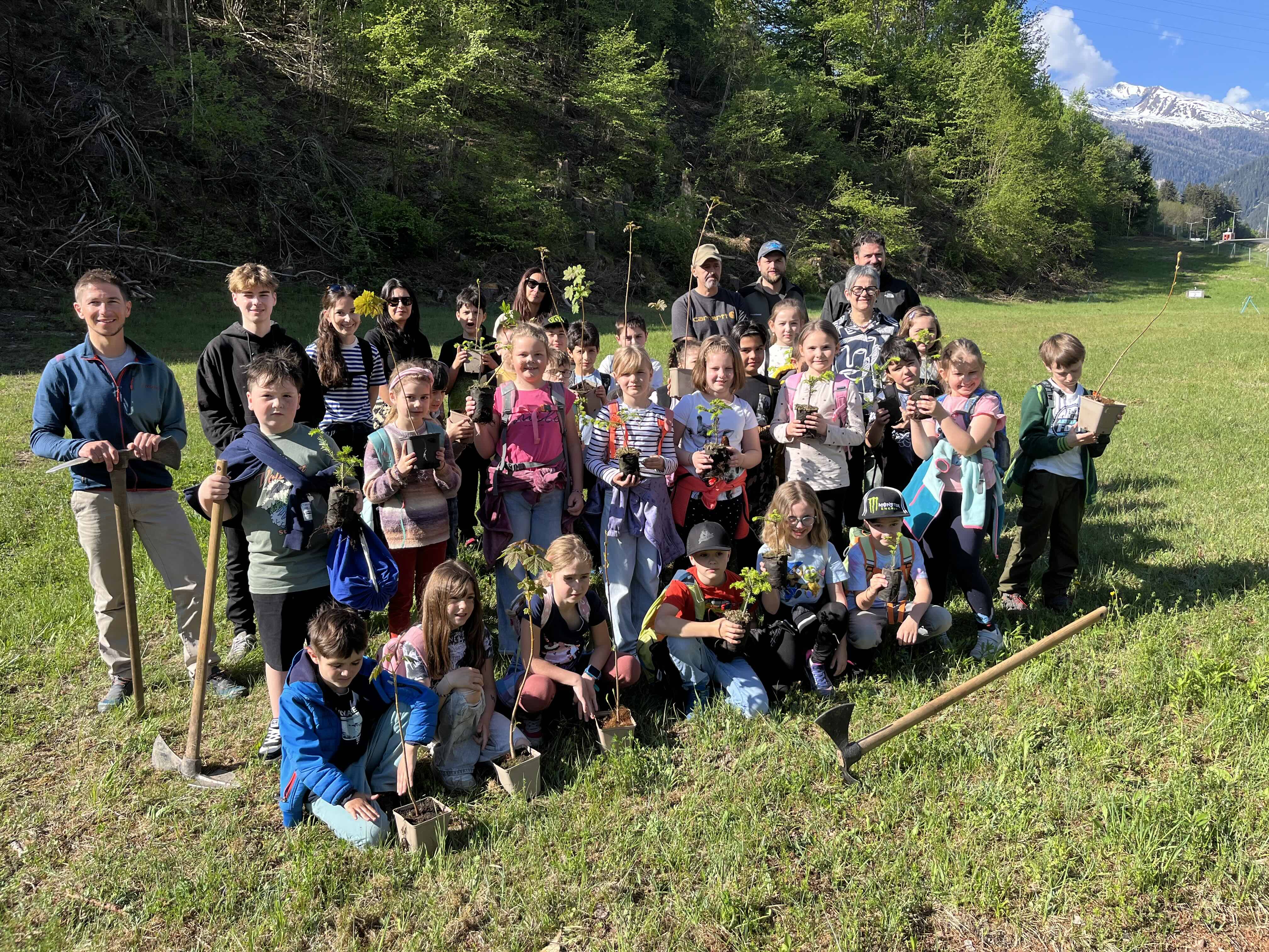Klimafitter Baumbestand